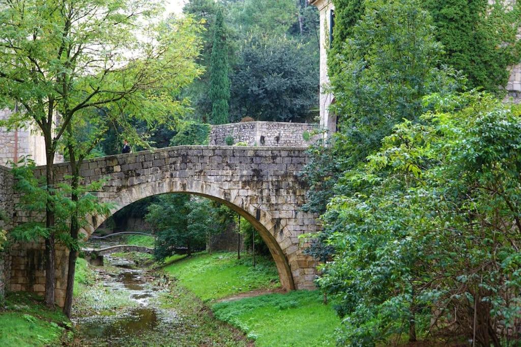 Centro 7pax * Gerona